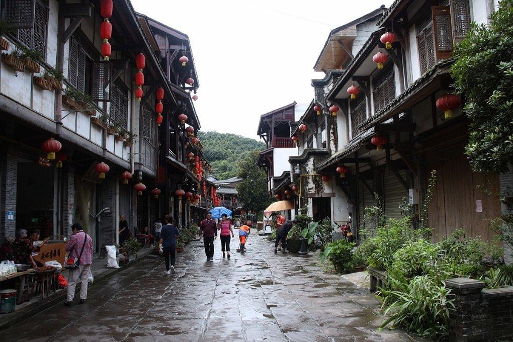 果子狸跑到家里是什么征兆？